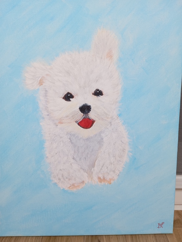 IMG_20250508_120117a